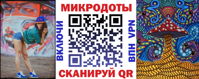 блэк спрут зеркало  Оса  Псилоцибиновые грибы Psilocybe 