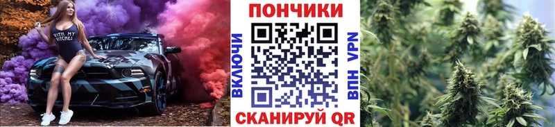 Шишки марихуана MAZAR  Оса 